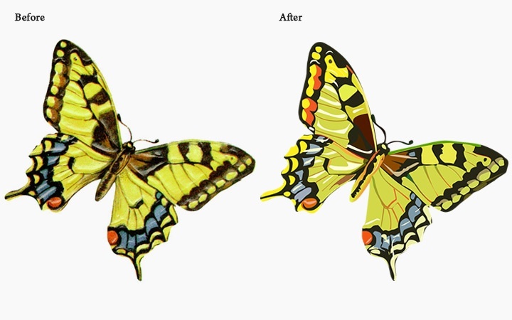 Elevate Your Brand with High-Quality Vector Conversion Services